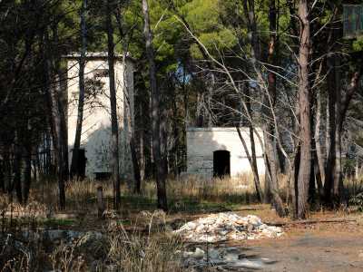 Arrivati a destinazione scopriamo di esserci imbattuti in un bel faggeto che "racchiude" tra i suoi rami una vecchia torretta dell'Enel con annessa casina in disuso